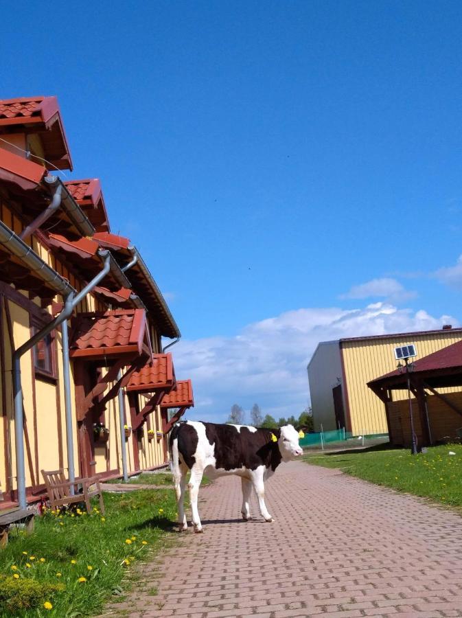 Pensjonat Przy Stajni Kierzkowo  Kültér fotó