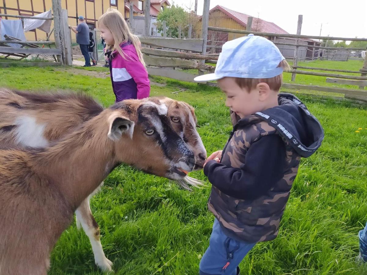 Pensjonat Przy Stajni Kierzkowo  Kültér fotó
