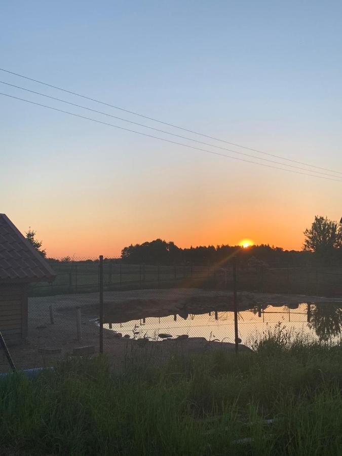 Pensjonat Przy Stajni Kierzkowo  Kültér fotó